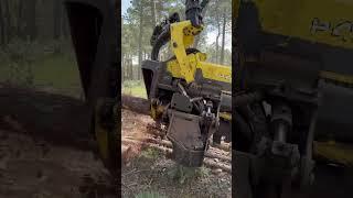 “Brutal Technology!Wath this tree dissapear in seconds” #forest #johndeere #harvester #lumberjack