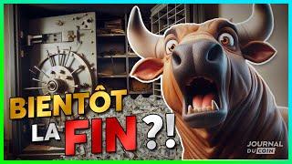 Le dernier bull run de l’histoire des cryptomonnaies ?!