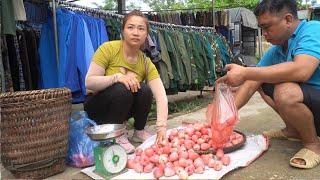 Full Video: Harvest Watermelon, figs, cucumbers, Chili Spicy And Lychee Goes To The Market Sell