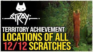 Stray All Scratch Locations (Territory Achievement)