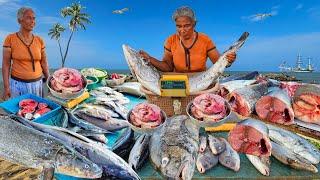 Wow!! Harvesting Biggest Village Street's Family Fish Market In Sri Lanka