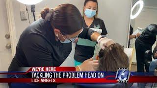 The Lice Angels offers organic, all-natural head lice treatments