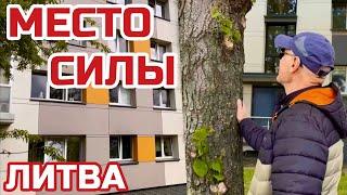Литва. Это наша Родина! Многие против. Нельзя любить с закрытыми глазами. #литва #клайпеда