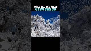 곤돌라 타고 설국 속으로 | 무주 덕유산의 황홀한 설경