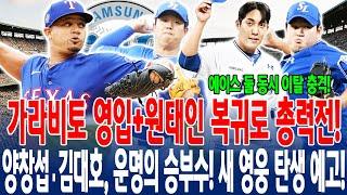 【에이스 둘 동시 이탈 충격!】삼성, 6경기 외인 선발 無…가라비토 전격 영입+원태인 복귀양창섭·김대호 운명의 승부수"위기 속 새 영웅 탄생 예고!" #가라비토 #삼성라이온즈