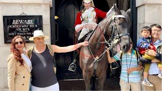 Disrespectful Tourists vs. Hilarious Horse Guard: You Won't Believe What Happens!"