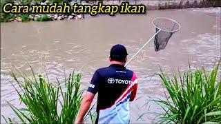 Sauk Ikan untukmu Laila//video Dari Fon Honor X9C #gengdunia