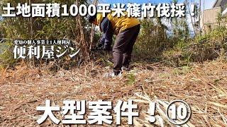 【大型案件】1000平米の篠竹伐採！⑩