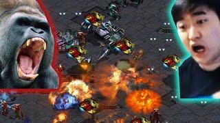 BEST vs FLASH 5 Games 2024 - Starcraft Broodwar