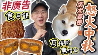 【怒火中秋】英國月餅有無驚喜? 柴犬春卷有得睇無得食 Eating Mooncake in the UK #中秋 #月餅 #英國生活 @shibaharumaki