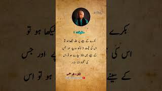 Anwar maqsood most popular quotes #urduquotes #shorts #anwarmaqsood #kalsoomwriters