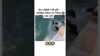 #funnyshorts 