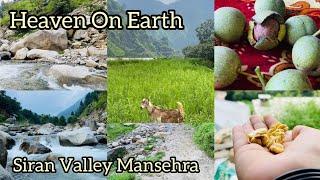 Siran Valley Mansehra || Visit To Siran Valley Mansehra || Travel With Nimra's Hub #travel