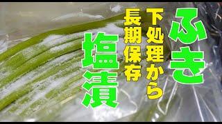 ふきの長期保存！この方法で通年いつでも使えて常備菜には困らない？