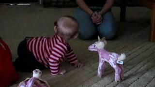 baby gives Eskimo kisses to her stuffed deer