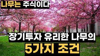 장기투자에 유리한 나무의 5가지 조건