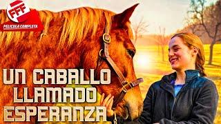 UN CABALLO LLAMADO ESPERANZA | Película Completa PARA FAMILIA en Español