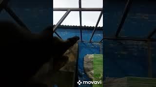 Каркас для котельной