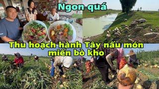 #431Thu hoạch hành Tây,Nấu Món Miến Bò Kho,Ba Mẹ Chồng Trung Quốc ăn hết tô,Ngon quá Con