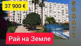 37900 €, Турция, Мерсин, Давултепе, 2+1, РАЙ НА ЗЕМЛЕ (продолжение)