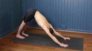 Ashtanga Vinyasa Yoga Primary Series