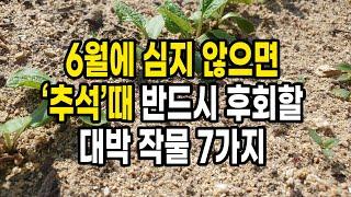 6월에 심지 않으면 추석 때 반드시 후회하게 될 대박 작물 7가지