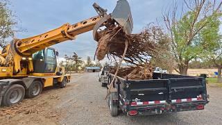 My new excavator DESTROYS tree stump!