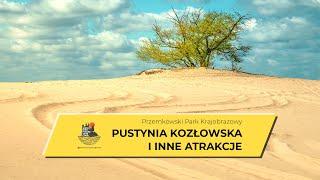 Pustynia Kozłowska i Przemkowski Park Krajobrazowy - co zobaczyć i zwiedzić w dolnośląskich borach