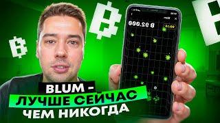 BLUM - ПОЧЕМУ СТОИТ УЧАСТВОВАТЬ В ПРОЕКТЕ?