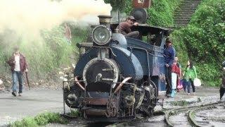 [Indian Rail]Toy Train in Darjeeling