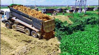 Amazing Opening Starting Project!By Team12w-5TTruck Unloading Soil And Skill Bulldozer SHANTUI DH17