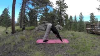 Morning Yoga for Beginners   12 min Stretch Routine