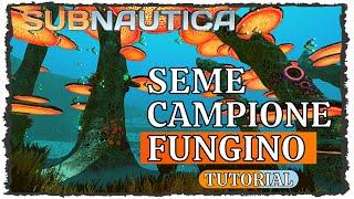 Subnautica Seme di campione fungino location ITA