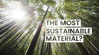 Is Bamboo the Most Sustainable Material?
