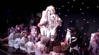 Cats Musical: Will Knoop performs as Old Gus in Cats production 2016
