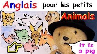 Anglais pour les petits et débutants : apprendre le nom des animaux