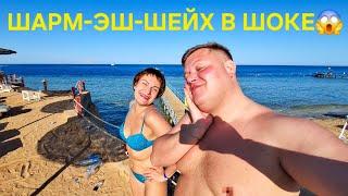 ПРИЛЕТЕЛИ В ДЕШЕВЫЙ ОТЕЛЬ В ШАРМ-ЭШ-ШЕЙХ ЛЕНОЧКА @Lenochka13 ВСЕМ НЕ ДОВОЛЬНА
