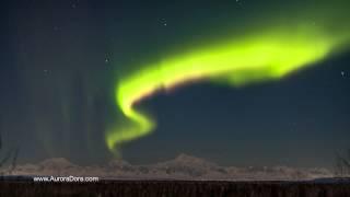 Denali & Aurora Borealis Breathtaking Time-Lapse