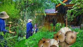 Heavy Rain in the Village After Hunting for Wild Mushrooms | Living in the Village