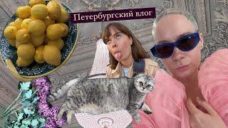 Санкт - Петербург! Сестринский влог. Семья, еда, прогулки