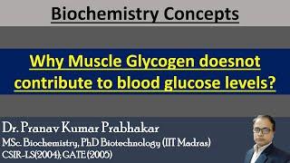 Why Muscle Glycogen doesnot contribute to blood glucose levels? #pkprabhakar #clinicalbiochemistry