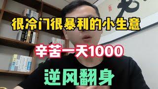 冷门暴利小生意，辛苦一天1000