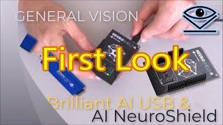 Unboxing and First Look at Super Cool Arduino AI NeuroShield, and Brilliant AI USB Stick