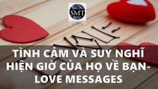 Chọn 1 tụ bài: Tình cảm và suy nghĩ của họ về bạn? Love Messages (Timeless)