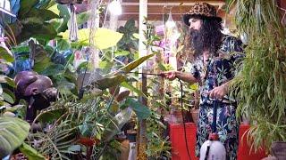 REAL LIFE TARZAN! Man Spends £20K On Indoor Jungle