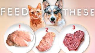 The BEST Organ Meat For Your Raw Fed Pet