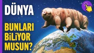 Gezegenimiz hakkında merak ettiğin 50 ilginç bilgi | İlginç bilgiler | Aklında olsun