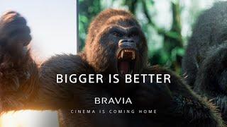 Bigger is Better｜BRAVIA 2025 | Sony Official