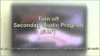 Secondary Audio Program (SAP)