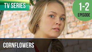 ▶️ Cornflowers 1 - 2 episodes - Romance | Movies, Films & Series